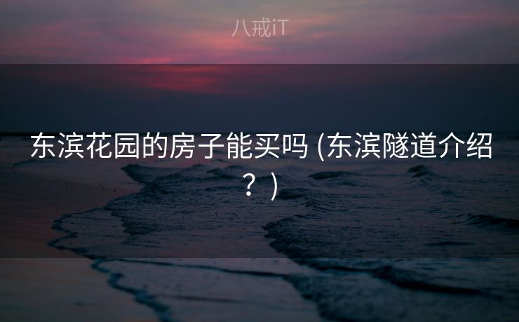 东滨花园的房子能买吗 (东滨隧道介绍？)