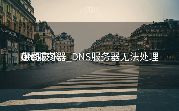 dns服务器_DNS服务器无法处理
惩罚
DNS哀求
