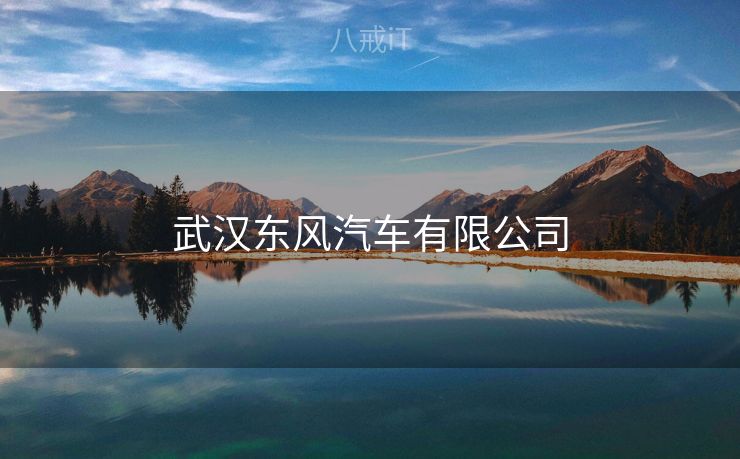 武汉东风汽车有限公司 武汉东风汽车有限公司