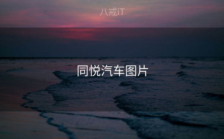同悦汽车图片