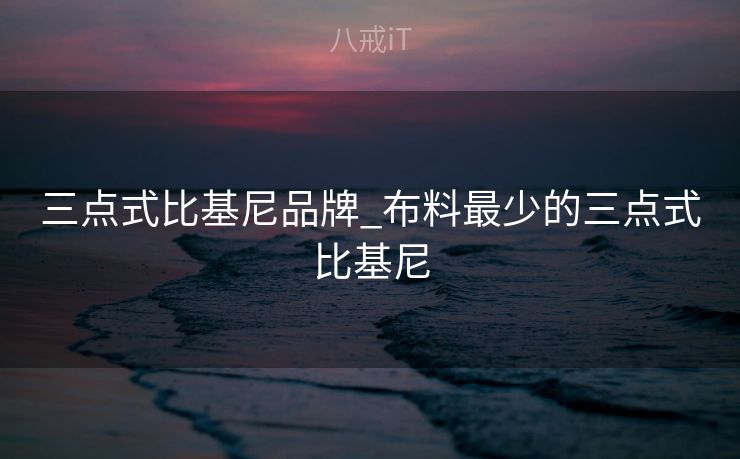 三点式比基尼品牌_布料最少的三点式比基尼