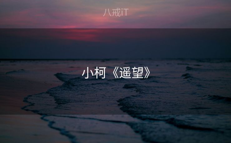小柯《遥望》