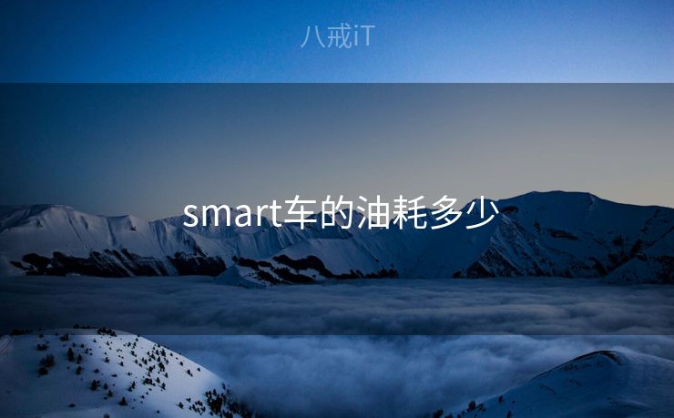  smart车的油耗多少