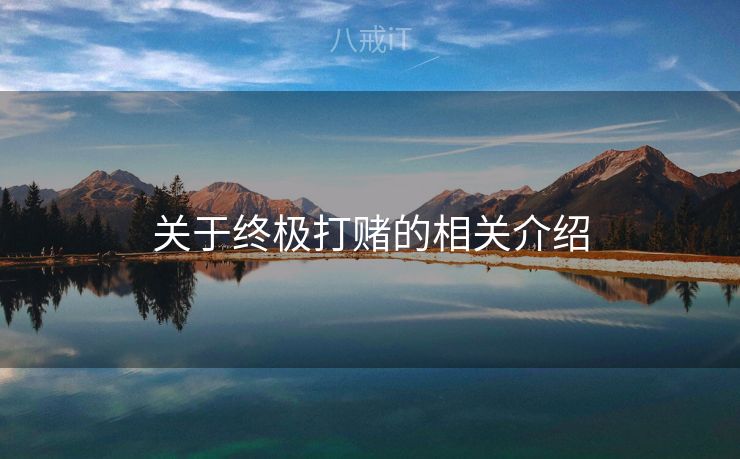 关于终极打赌的相关介绍