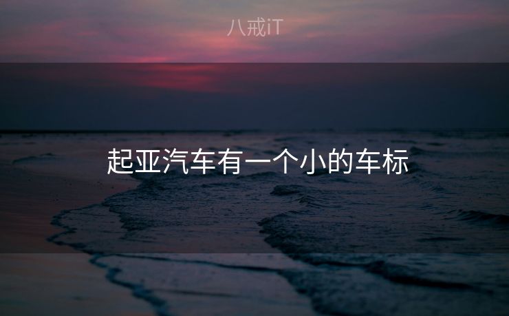  起亚汽车有一个小的车标
