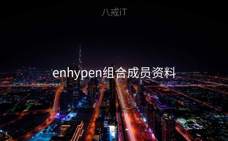 enhypen组合成员资料