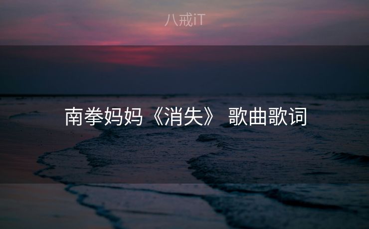 南拳妈妈《消失》 歌曲歌词