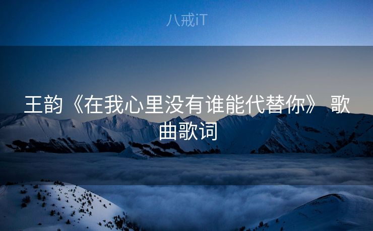 王韵《在我心里没有谁能代替你》 歌曲歌词