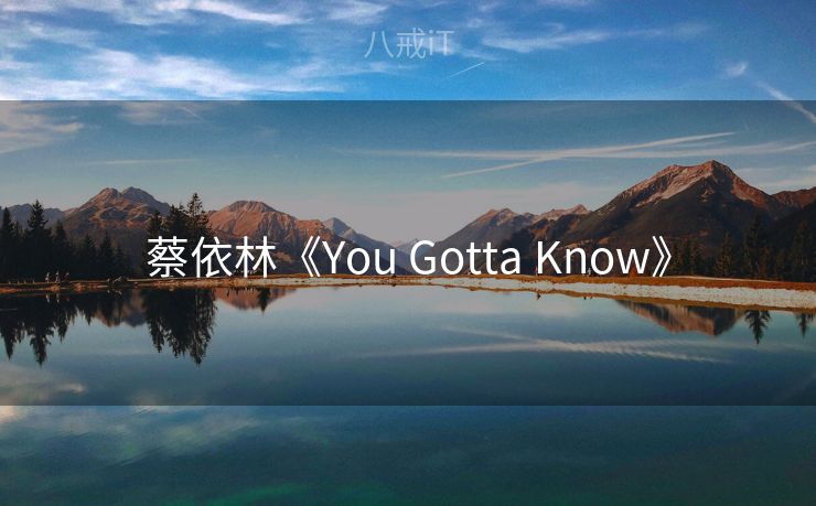蔡依林《You Gotta Know》 蔡依林《You Gotta Know》