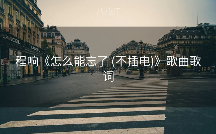 程响《怎么能忘了 (不插电)》歌曲歌词