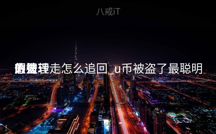 假造
币被转走怎么追回_u币被盗了最聪明

的处理
惩罚
方法