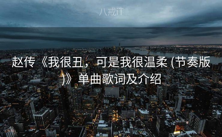 赵传《我很丑,可是我很温柔 (节奏版)》单曲歌词及介绍 赵传《我很丑,可是我很温柔 (节奏版)》单曲歌词及介绍