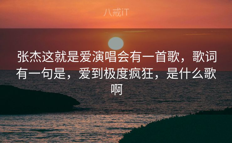 张杰这就是爱演唱会有一首歌，歌词有一句是，爱到极度疯狂，是什么歌啊
