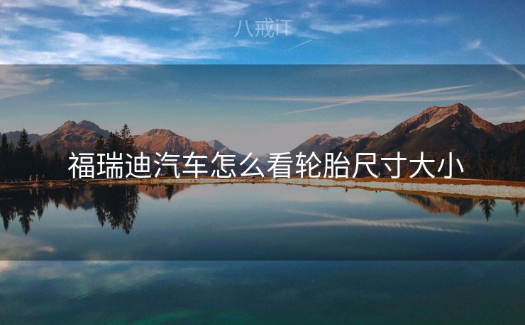 福瑞迪汽车怎么看轮胎尺寸大小 福瑞迪汽车怎么看轮胎尺寸大小