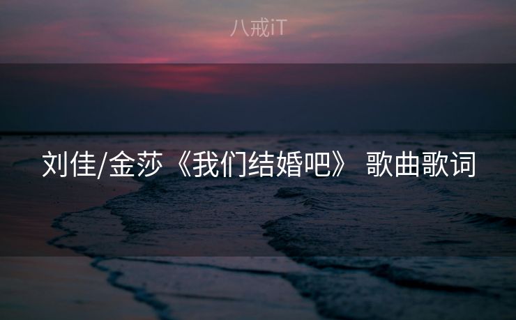 刘佳/金莎《我们结婚吧》 歌曲歌词