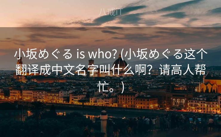 小坂めぐる is who? (小坂めぐる这个翻译成中文名字叫什么啊？请高人帮忙。)