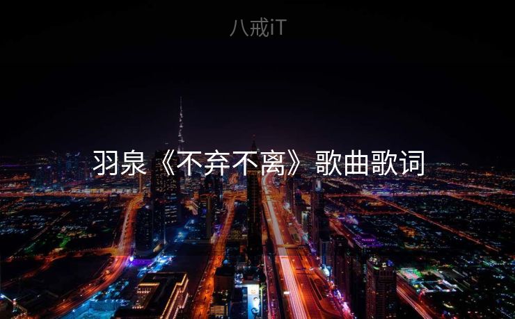 羽泉《不弃不离》歌曲歌词
