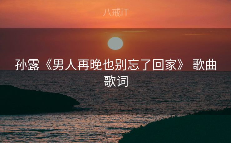 孙露《男人再晚也别忘了回家》 歌曲歌词