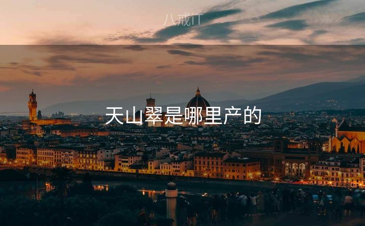 天山翠是哪里产的