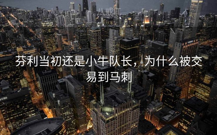 芬利当初还是小牛队长，为什么被交易到马刺