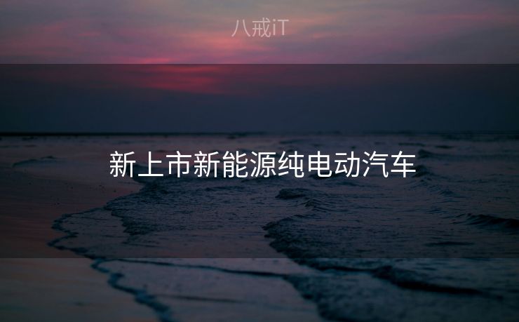 新上市新能源纯电动汽车 新上市新能源纯电动汽车