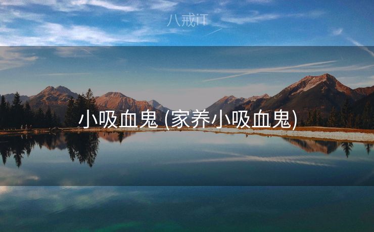 小吸血鬼 (家养小吸血鬼)