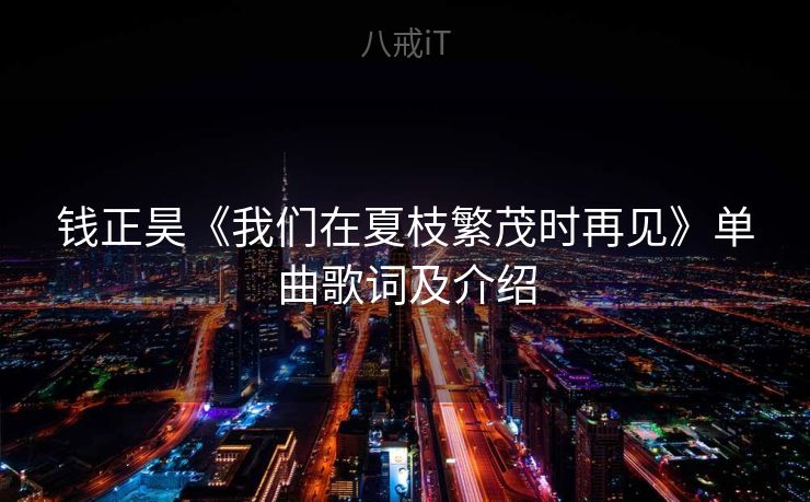 钱正昊《我们在夏枝繁茂时再见》单曲歌词及介绍 钱正昊《我们在夏枝繁茂时再见》单曲歌词及介绍