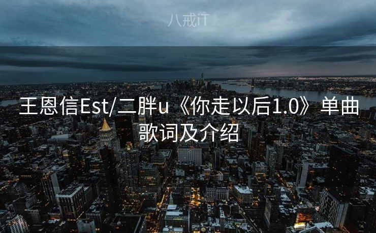王恩信Est/二胖u《你走以后1.0》单曲歌词及介绍 王恩信Est/二胖u《你走以后1.0》单曲歌词及介绍