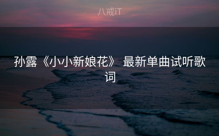 孙露《小小新娘花》 最新单曲试听歌词 孙露《小小新娘花》 最新单曲试听歌词