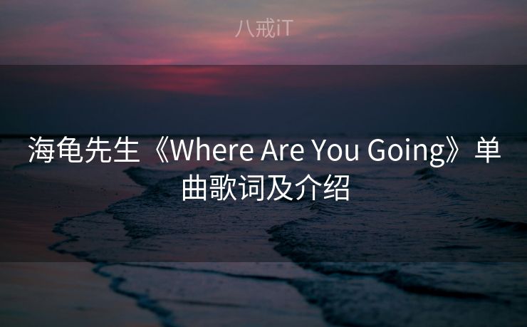 海龟先生《Where Are You Going》单曲歌词及介绍