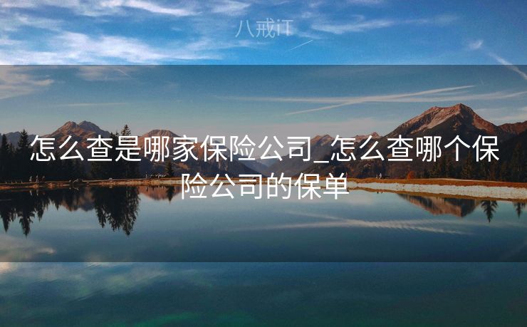 怎么查是哪家保险公司_怎么查哪个保险公司的保单
