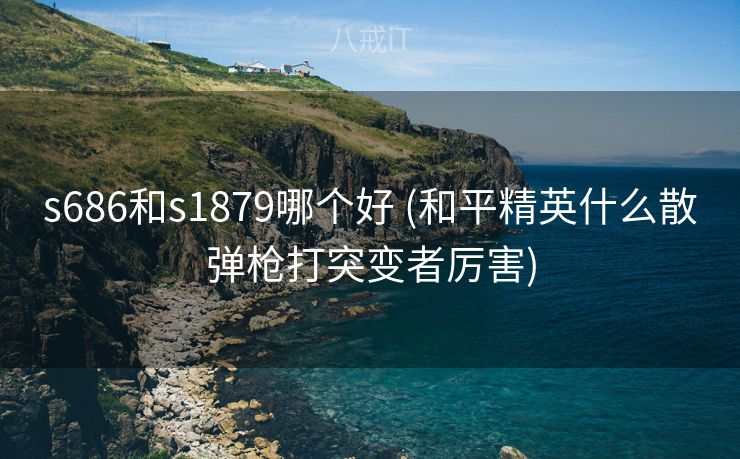 s686和s1879哪个好 (和平精英什么散弹枪打突变者厉害)