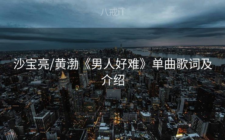 沙宝亮/黄渤《男人好难》单曲歌词及介绍 沙宝亮/黄渤《男人好难》单曲歌词及介绍