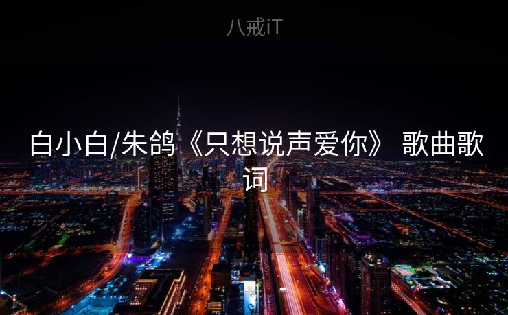 白小白/朱鸽《只想说声爱你》 歌曲歌词