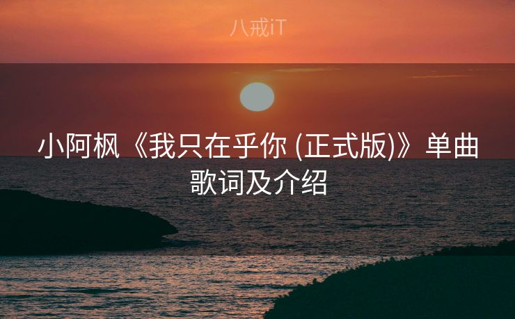 小阿枫《我只在乎你 (正式版)》单曲歌词及介绍 小阿枫《我只在乎你 (正式版)》单曲歌词及介绍