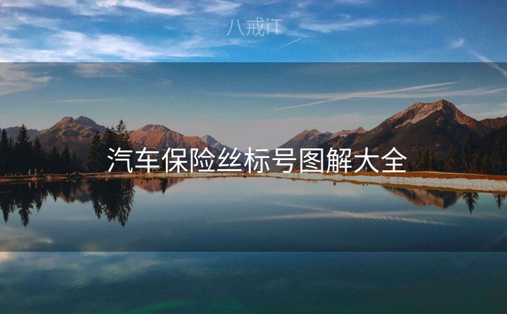 汽车保险丝标号图解大全 汽车保险丝标号图解大全