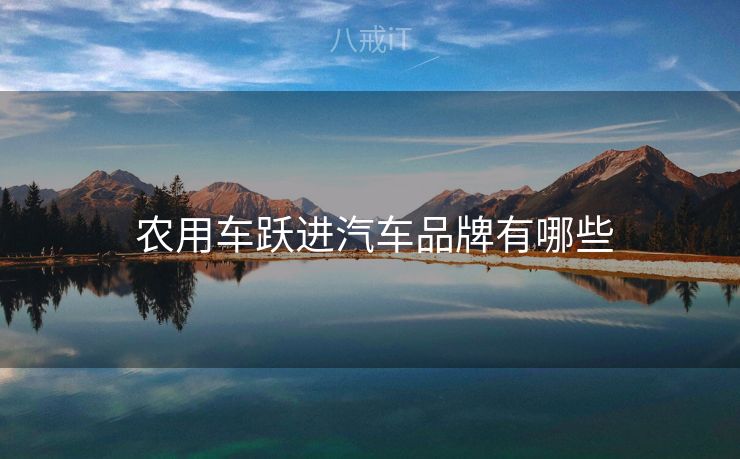  农用车跃进汽车品牌有哪些