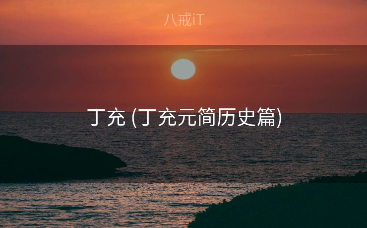 丁充 (丁充元简历史篇) 丁充 (丁充元简历史篇)