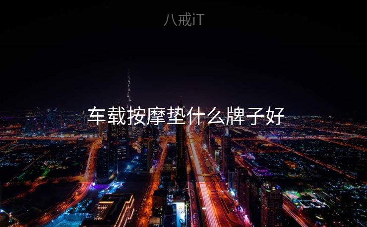  车载按摩垫什么牌子好