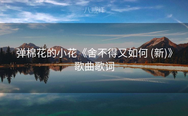 弹棉花的小花《舍不得又如何 (新)》歌曲歌词 弹棉花的小花《舍不得又如何 (新)》歌曲歌词