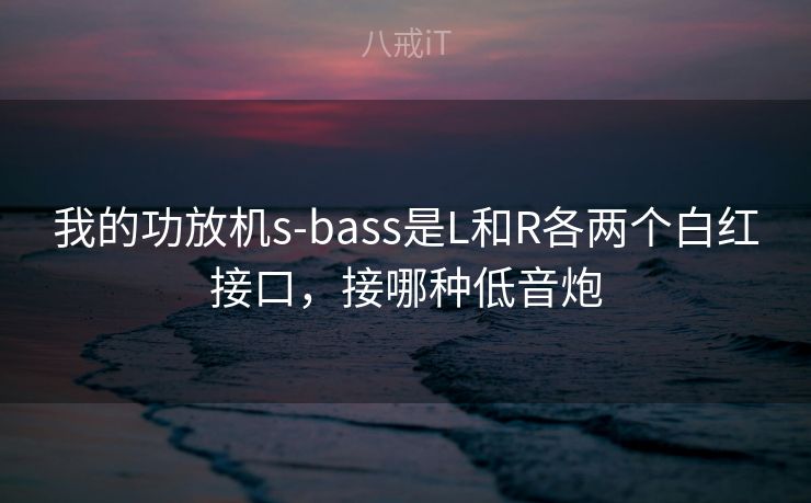 我的功放机s-bass是L和R各两个白红接口,接哪种低音炮 我的功放机s-bass是L和R各两个白红接口,接哪种低音炮