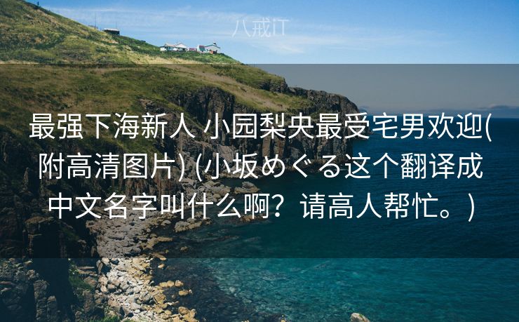 最强下海新人 小园梨央最受宅男欢迎(附高清图片) (小坂めぐる这个翻译成中文名字叫什么啊？请高人帮忙。)