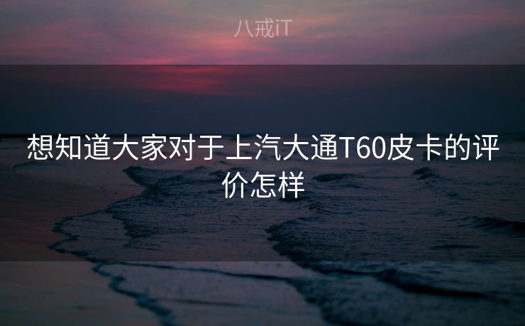 想知道大家对于上汽大通T60皮卡的评价怎样