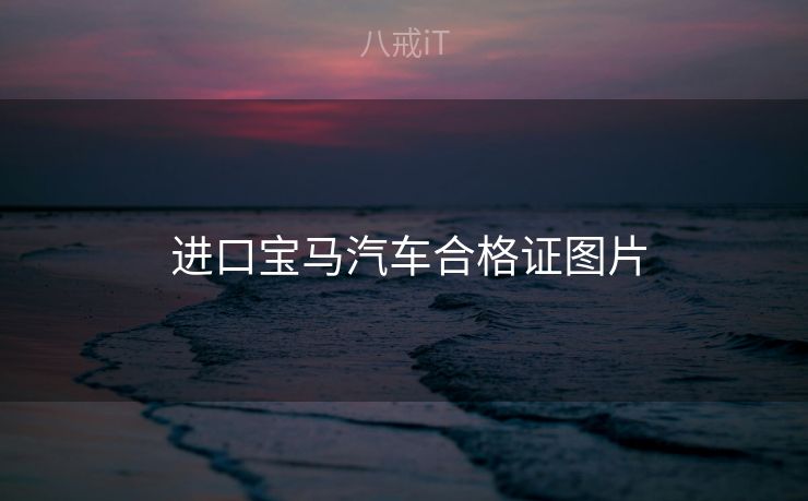  进口宝马汽车合格证图片