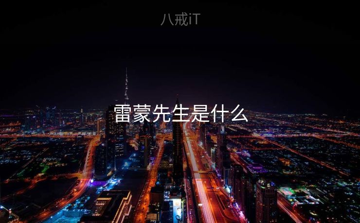 雷蒙先生是什么