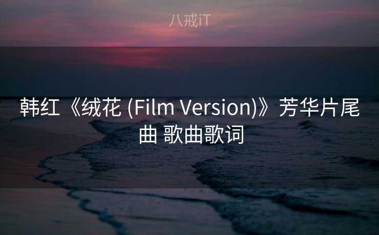 韩红《绒花 (Film Version)》芳华片尾曲 歌曲歌词