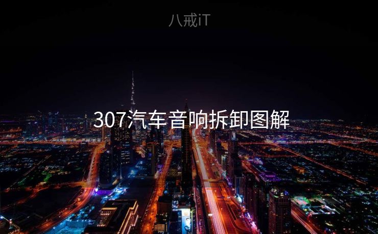 307汽车音响拆卸图解 307汽车音响拆卸图解