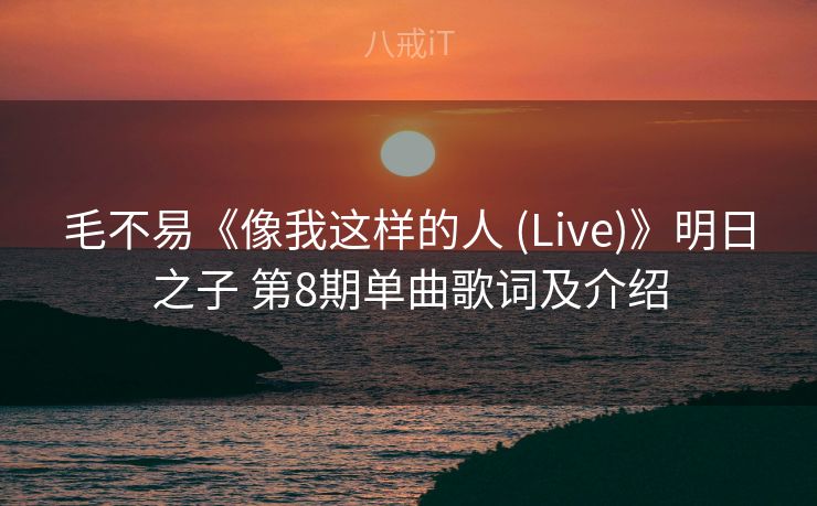 毛不易《像我这样的人 (Live)》明日之子 第8期单曲歌词及介绍