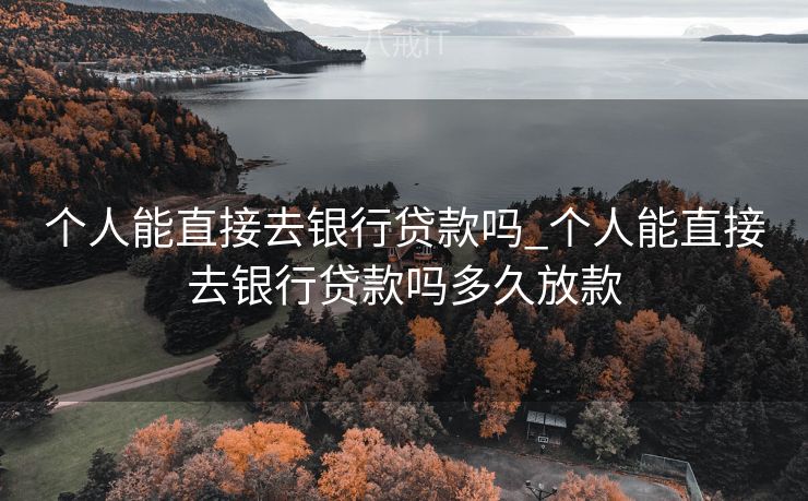 个人能直接去银行贷款吗_个人能直接去银行贷款吗多久放款