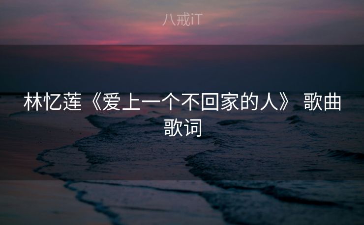 林忆莲《爱上一个不回家的人》 歌曲歌词 林忆莲《爱上一个不回家的人》 歌曲歌词
